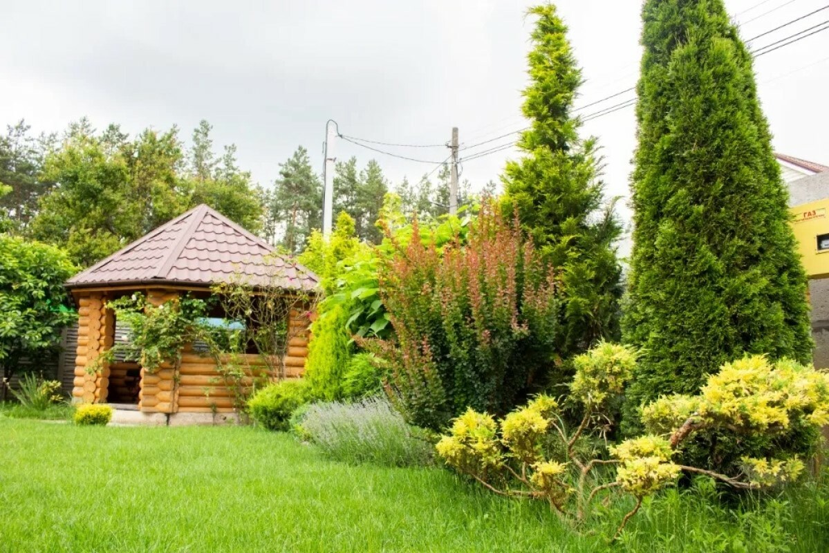 https://novomoskovsk.tgv-stroy.ru/storage/app/uploads/public/637/ef4/fb3/637ef4fb3605f391429275.png